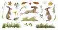 Rabbit animal natural set. Watercolor illustration. Cute bunny stand and jump on white background. Rabbit, grass, leaf