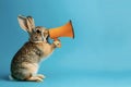 Rabbit announcing using megaphone. Notifying, warning, announcement Royalty Free Stock Photo