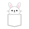 Rabbit baby face head icon sitting in the pocket. Holding paw hands. Pink cheeks. Contour line. Funny hare. Cute cartoon character