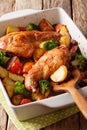 Rabbit baked with vegetables in mustard sauce close-up in baking