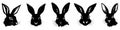 Rabbit black silhouettes. Set of Easter bunny icons isolated Royalty Free Stock Photo
