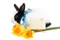 Rabbit with blue ribbon, card and bouquet of yello