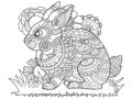 Rabbit bunny coloring book for adults vector