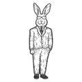 Rabbit businessman, in business suit. Engraving raster illustration. Sketch scratch board imitation