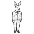 Rabbit businessman, in business suit. Engraving vector illustration. Sketch scratch board imitation