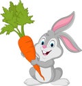 Rabbit with carrot isolated on white background