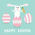 Rabbit with carrot sitting on painting pink egg shell. Happy Easter bunny and three egg set. Farm animal. Cute cartoon funny chara Royalty Free Stock Photo