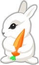 Rabbit with carrot