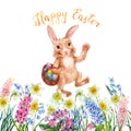 Rabbit carrying a basket of eggs. Happy Easter. Meadow of spring flowers. Watercolor.