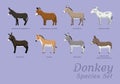 Various Donkey Species Set Cartoon Vector Illustration