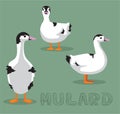 Duck Mulard Cartoon Vector Illustration