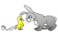 Rabbit and chicklet