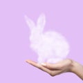 Rabbit from the cloud in the woman`s hand. Easter concept