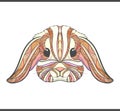 Rabbit coloring outlines in boho style. Ethnic hare