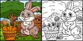 Rabbit Coloring Page Colored Illustration Royalty Free Stock Photo