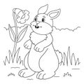 Rabbit Coloring Page for Kids Royalty Free Stock Photo