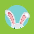 Rabbit coming out flat design vector