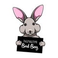 Rabbit criminal. Arrest photo. Mugshot photo. Police placard, Police mugshot, lineup Bunny prisoner. Photo offender Vector Royalty Free Stock Photo