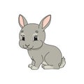Rabbit. Cute flat vector illustration in childish cartoon style. Funny character. Isolated on white background Royalty Free Stock Photo