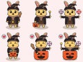 Rabbit cute Halloween set Witch Royalty Free Stock Photo