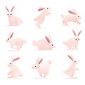 Rabbit Cute Illustration Vector with Various Movements Pink Gradient Color