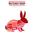 Rabbit cuts diagram for Butcher shop