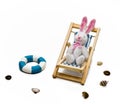 Rabbit in deck chair