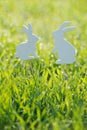 Rabbit decorations in spring green grass Royalty Free Stock Photo