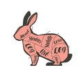 Rabbit diagram for the butcher. Butcher shop, meat vector illustration