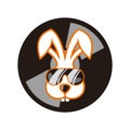Rabbit disc jockey music icon logo