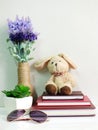 Rabbit doll sitting on notebook with artificial of green plant still life Royalty Free Stock Photo