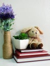 Rabbit doll sitting on notebook with artificial of green plant still life Royalty Free Stock Photo