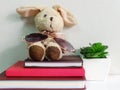 Rabbit doll sitting on notebook with artificial of green plant still life Royalty Free Stock Photo