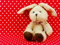 Rabbit doll with space for copy background Royalty Free Stock Photo