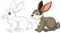 Rabbit drawing stages Royalty Free Stock Photo