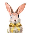 Rabbit drawing, textile printing, textile graphics, t-shirt printing