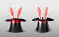 Rabbit ears stick out magician top hat cylinder