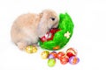 Rabbit with easter basket Royalty Free Stock Photo