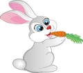 Rabbit eating a carrot