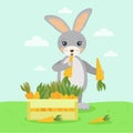 rabbit eats delicious juicy ripe carrot harvest