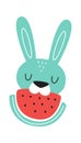 Rabbit Eats Watermelon