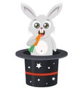 The rabbit emerges from the hat. magic trick. the hare is eating a carrot.