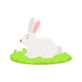 Rabbit Farm Animal Cartoon Related Element On Patch Of Green Grass