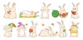 Rabbit vector flat cartoon set bunny cute hare pet different poses vector illustration mascot Royalty Free Stock Photo