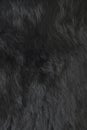 Rabbit fur | Texture Royalty Free Stock Photo