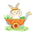 Rabbit in garden cart rustic poster bunny childish character wheelbarrow hare harvest vector