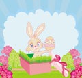 rabbit in gift box, easter surprise present