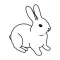 Rabbit hand-drawn contour line drawing. Black and white image.Easter bunny.For postcards, printing on fabric.Cute animal.Doodles.