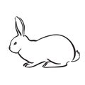 Rabbit hand drawn vector image. Animal pet illustration. Black isolated hare on white background