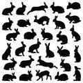 Rabbit and Hare vector silhouette illustration